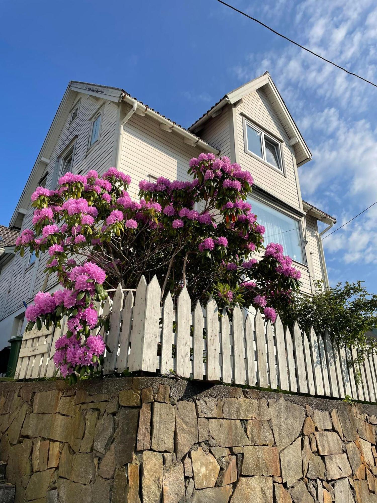 Bed and Breakfast Gate 1 Bnb, 177 House Nr, Maloy Exterior foto